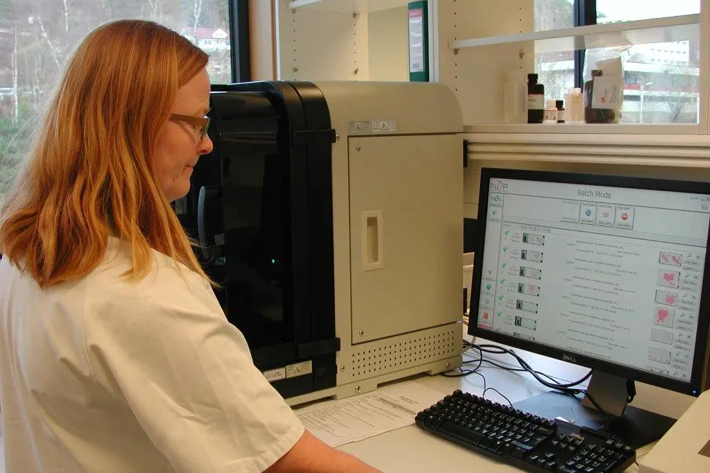 Bioingeniør Julianne Holmeset Slyngstadli ved Ålesund sjukehus scanner inn snitt